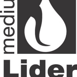MEDIUM Lider Instalacji 2010